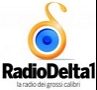 Radio Delta 1